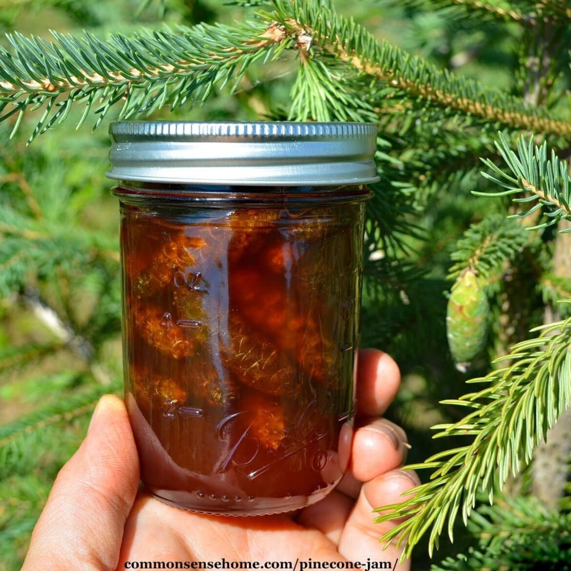 Pine Cone Jam?