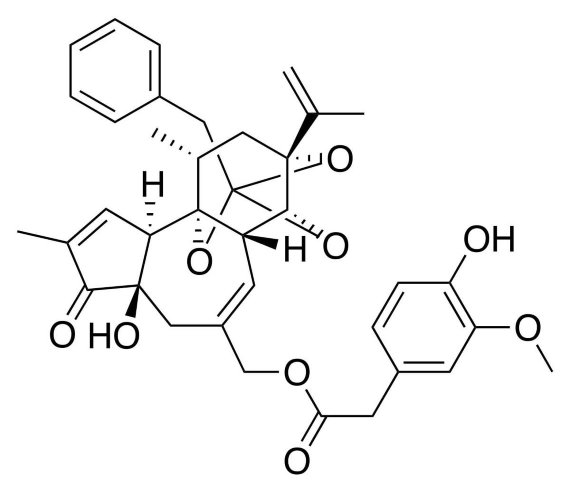 TIL about Resiniferatoxin, a compound 1000 times hotter than capsaicin