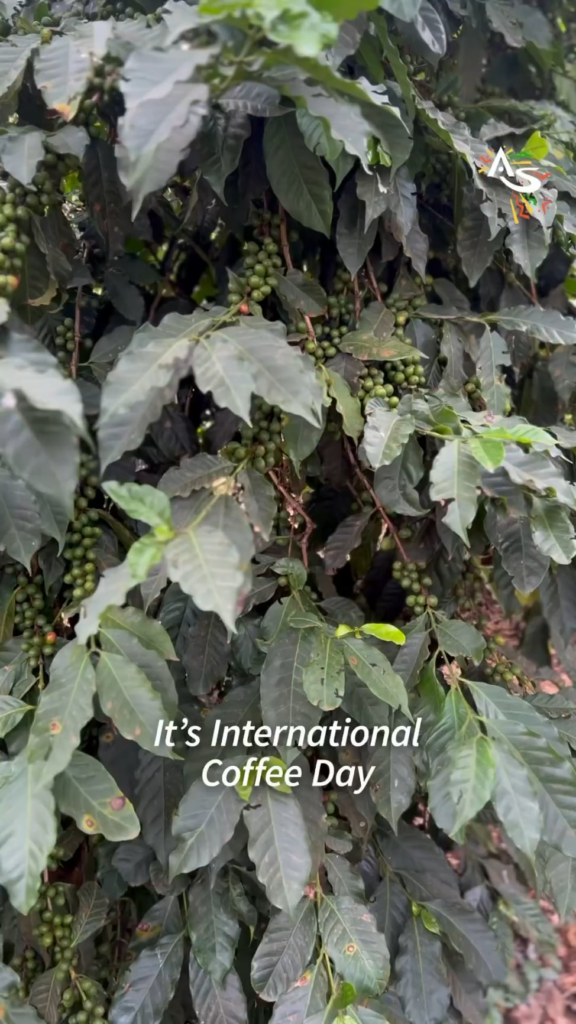 What Does International Coffee Day Mean For Africa?