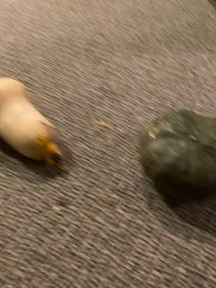 Why is my squash oozing??? Dining and Cooking