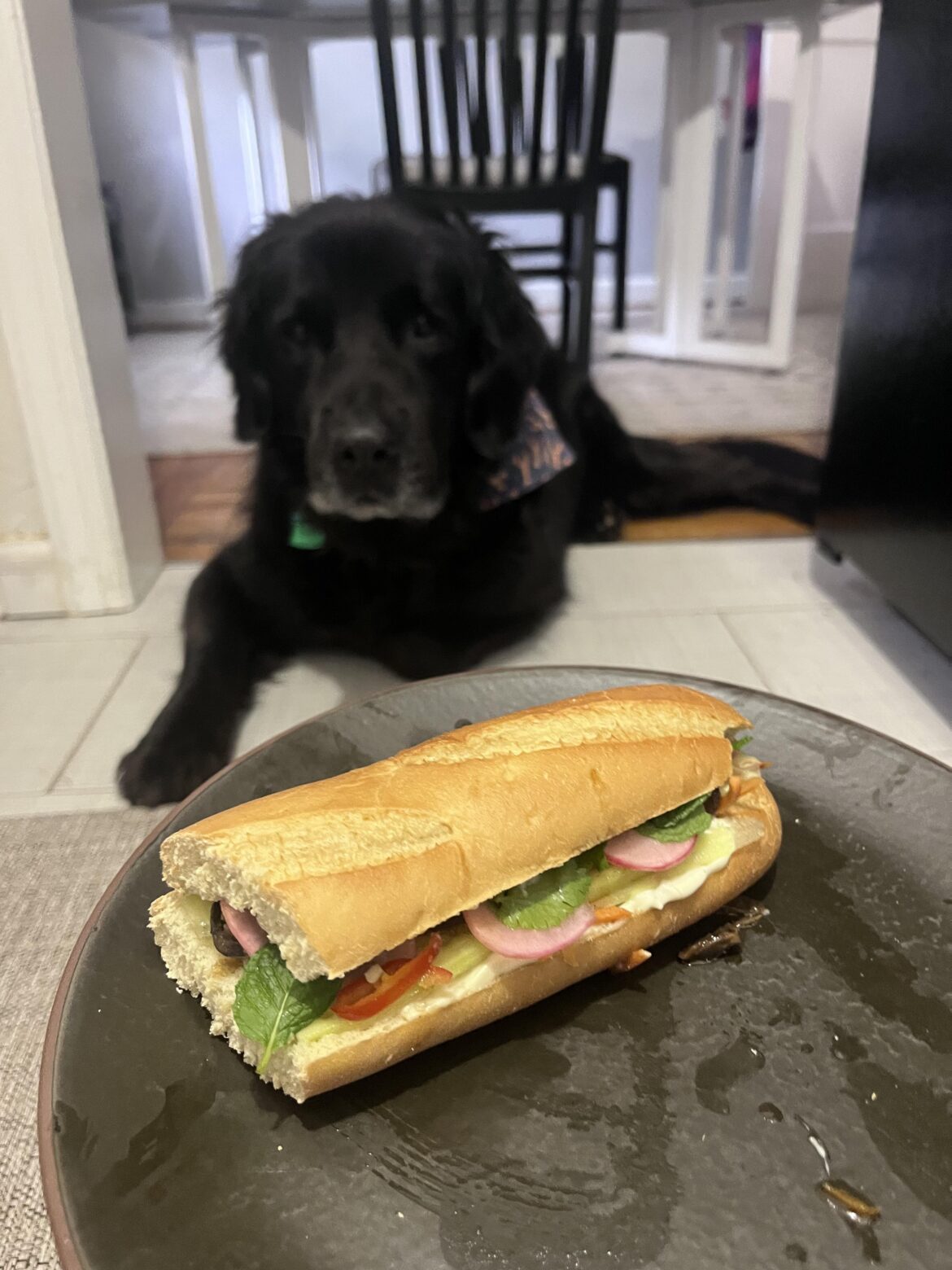 Mushroom Banh-Mi on a dirty plate