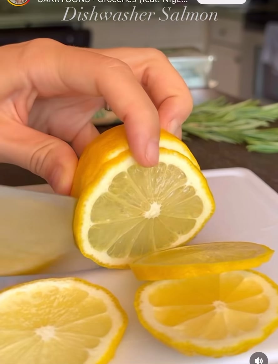 Dishwasher salmon… running an empty dishwasher to “bake” food Dining