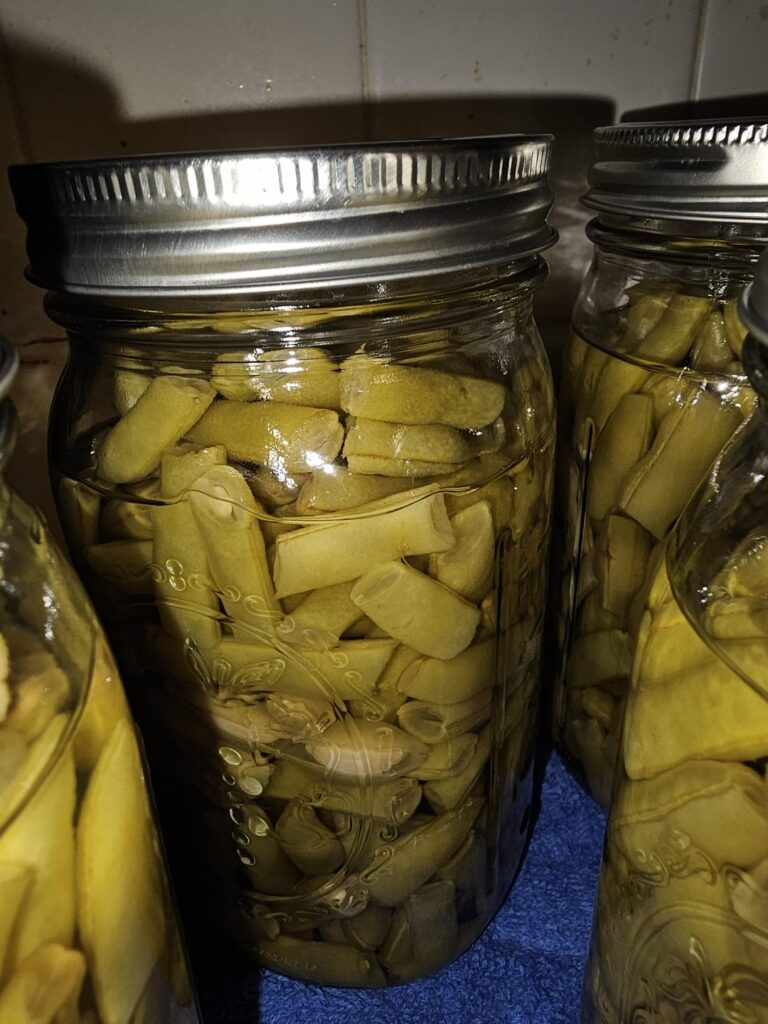 Will these beans be okay?? Idk what caused the siphoning