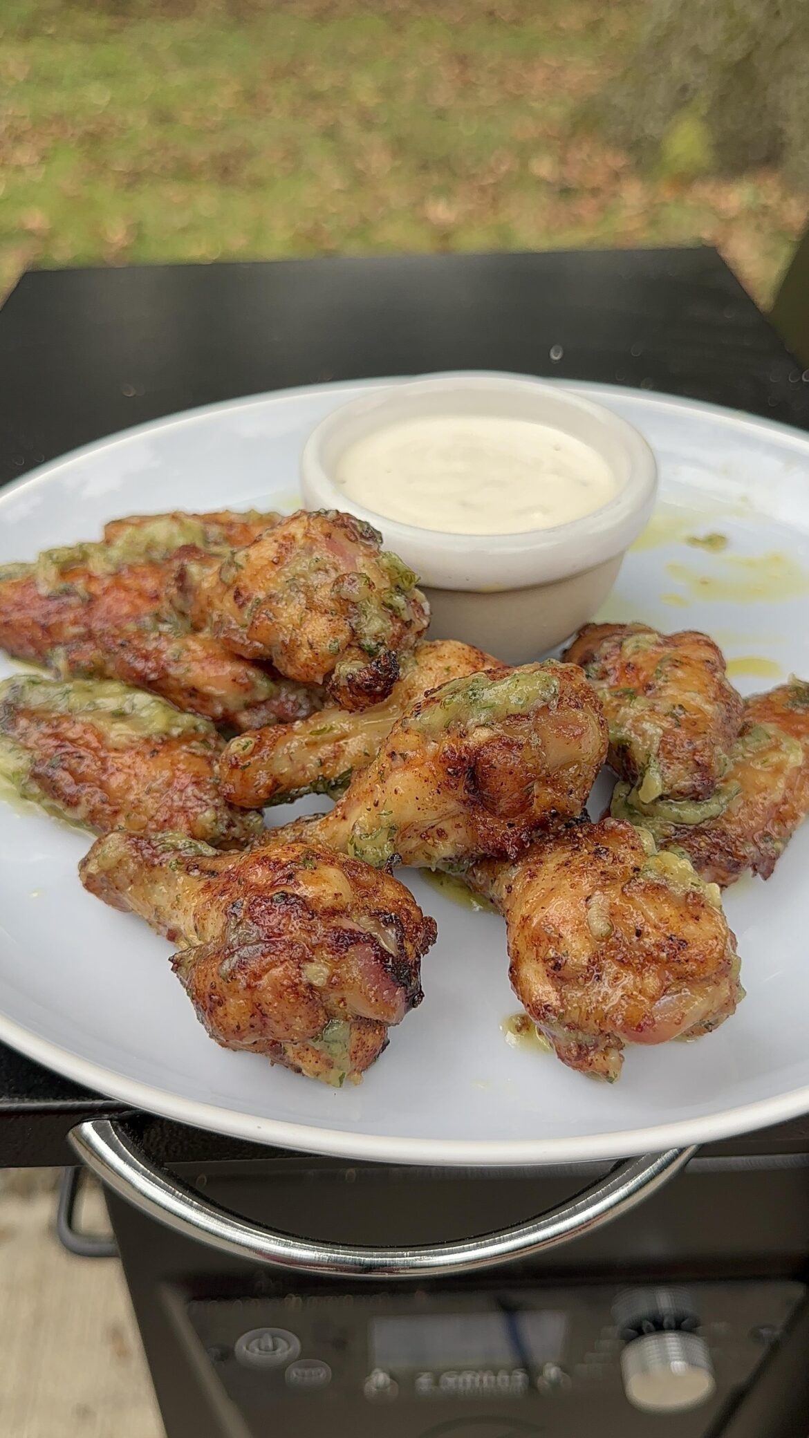 Garlic Parm Wings