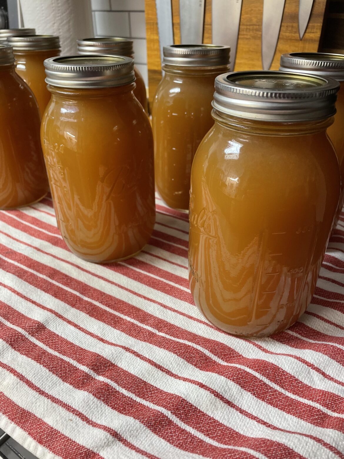 Canned some chicken stock today.