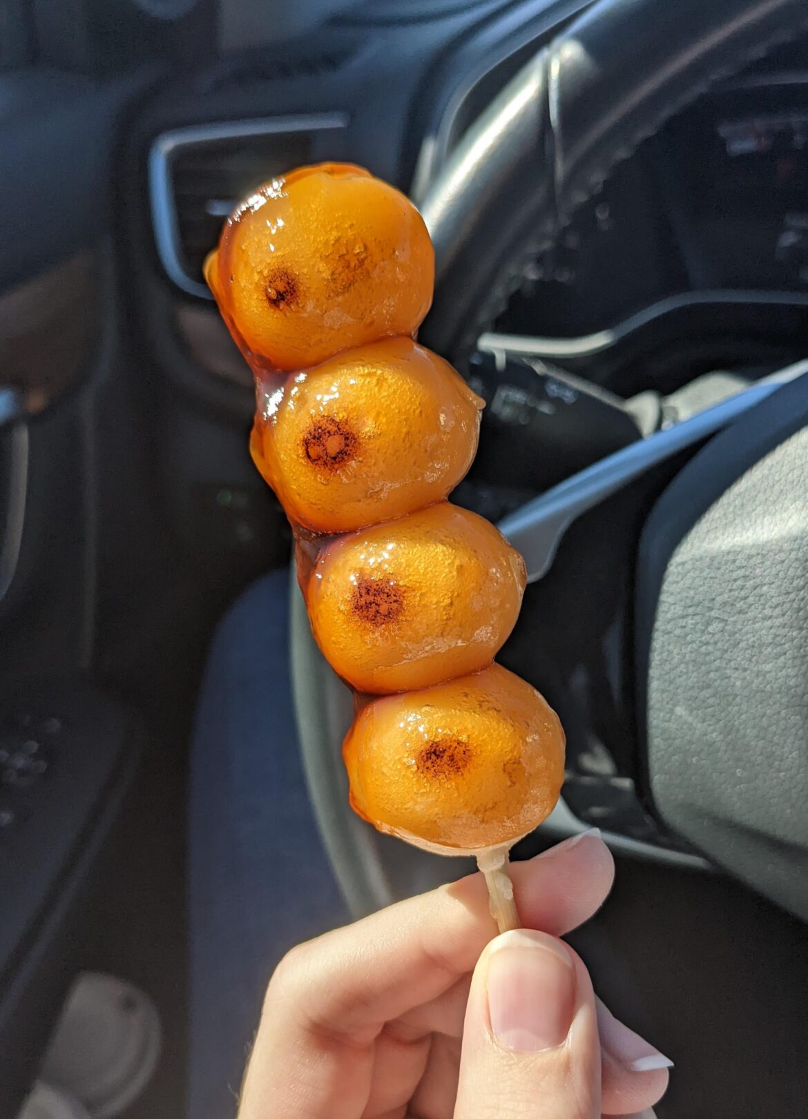 Mitarashi dango ~ my favorite type of dango or mochi I've tried so far. What other kinds do you guys like?
