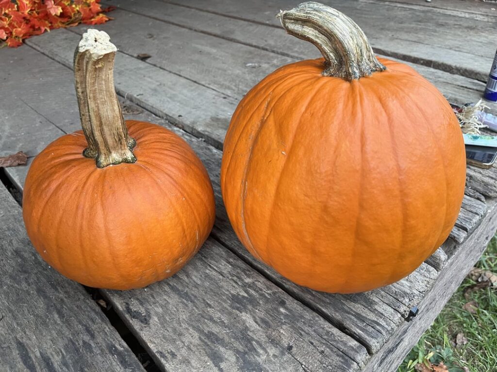 Pumpkin puree Pumpkin puree