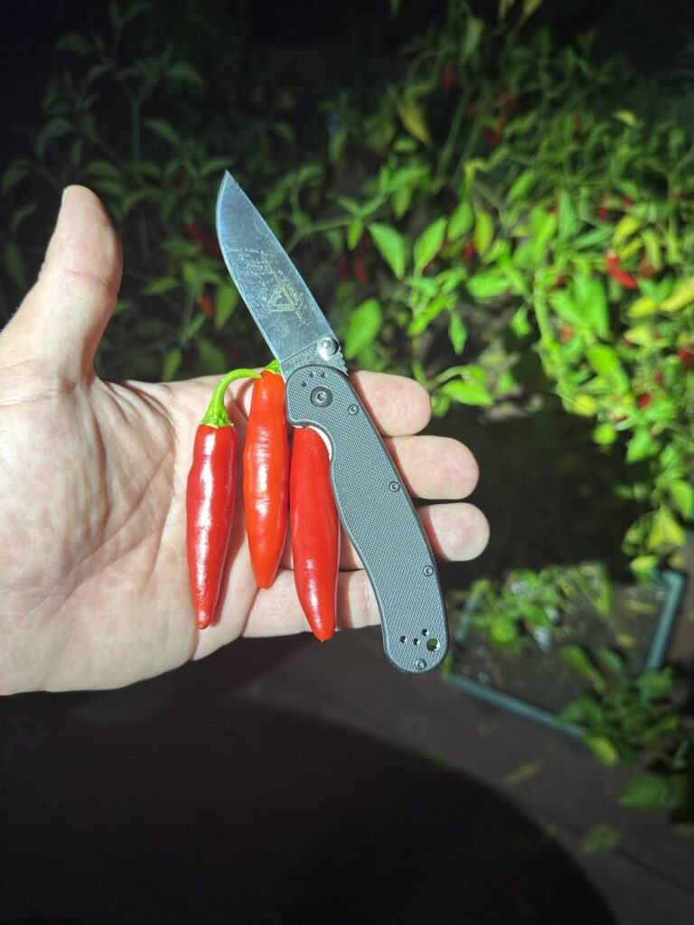 you ever go pepper picking in the middle of the night?