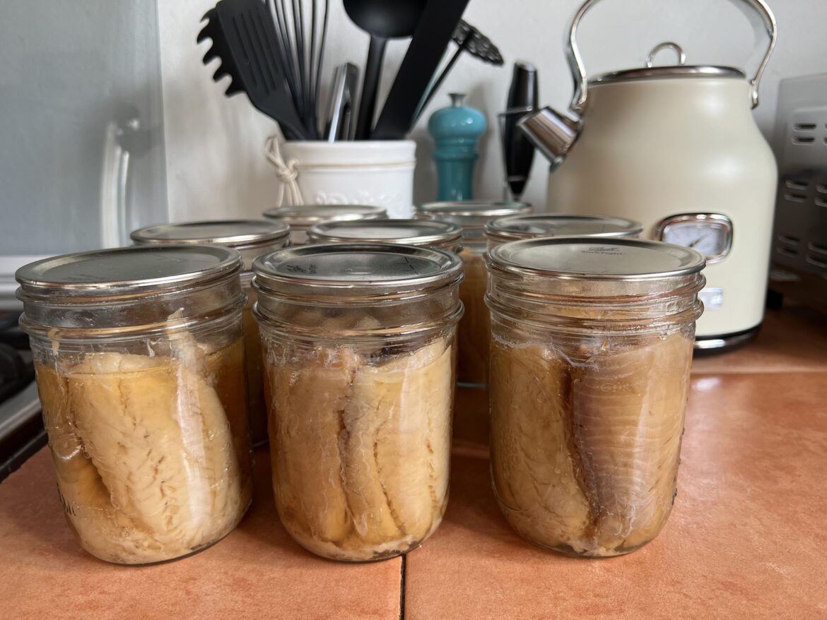 Whitefish fillet Whitefish fillet