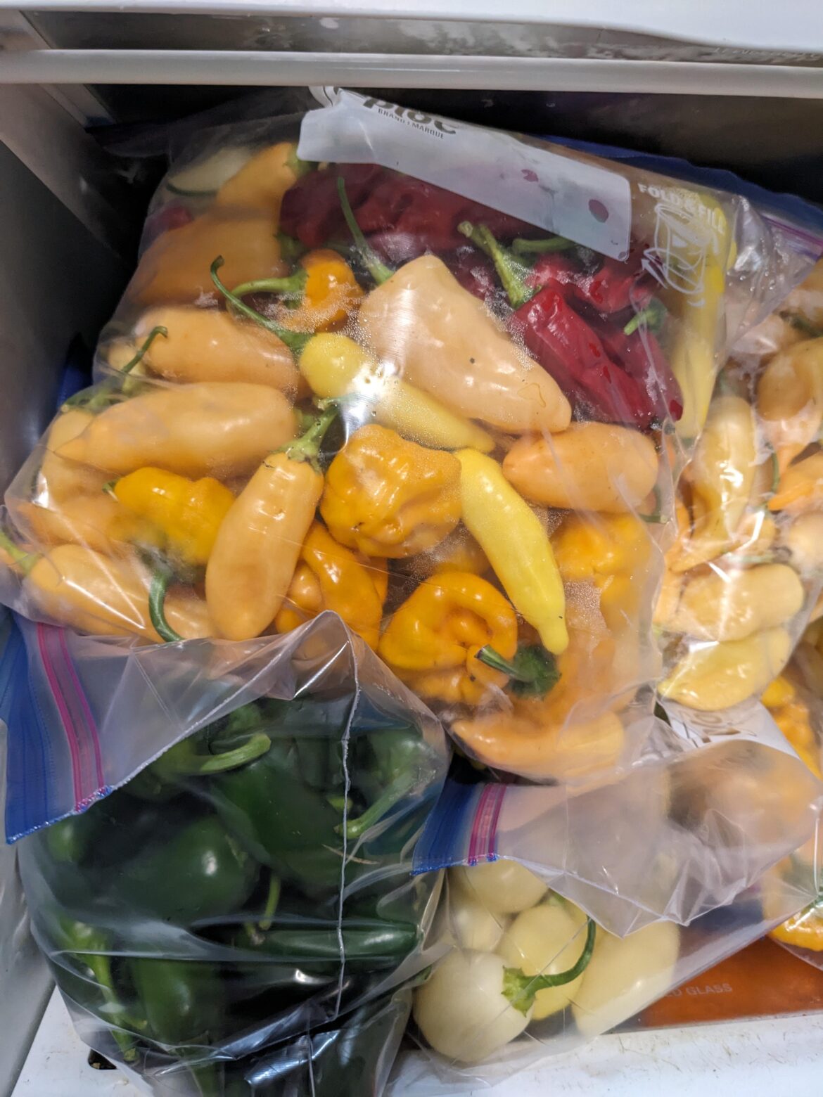 Pepper processing tested recipes needed! Pepper processing tested recipes needed!