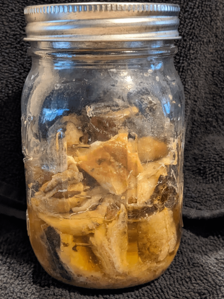 Raw packed white fish per book instructions, does this look right? Raw packed white fish per book instructions, does this look right?