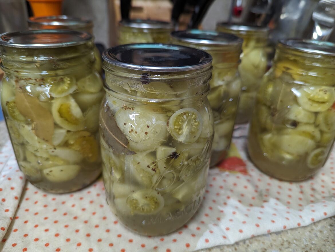 No chance for more red tomatoes this year so I made pickles instead.