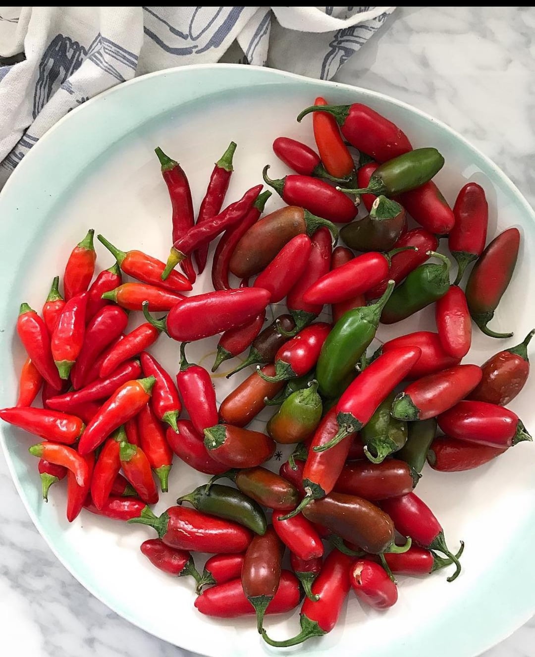 Good morning beautiful peppers Dining and Cooking