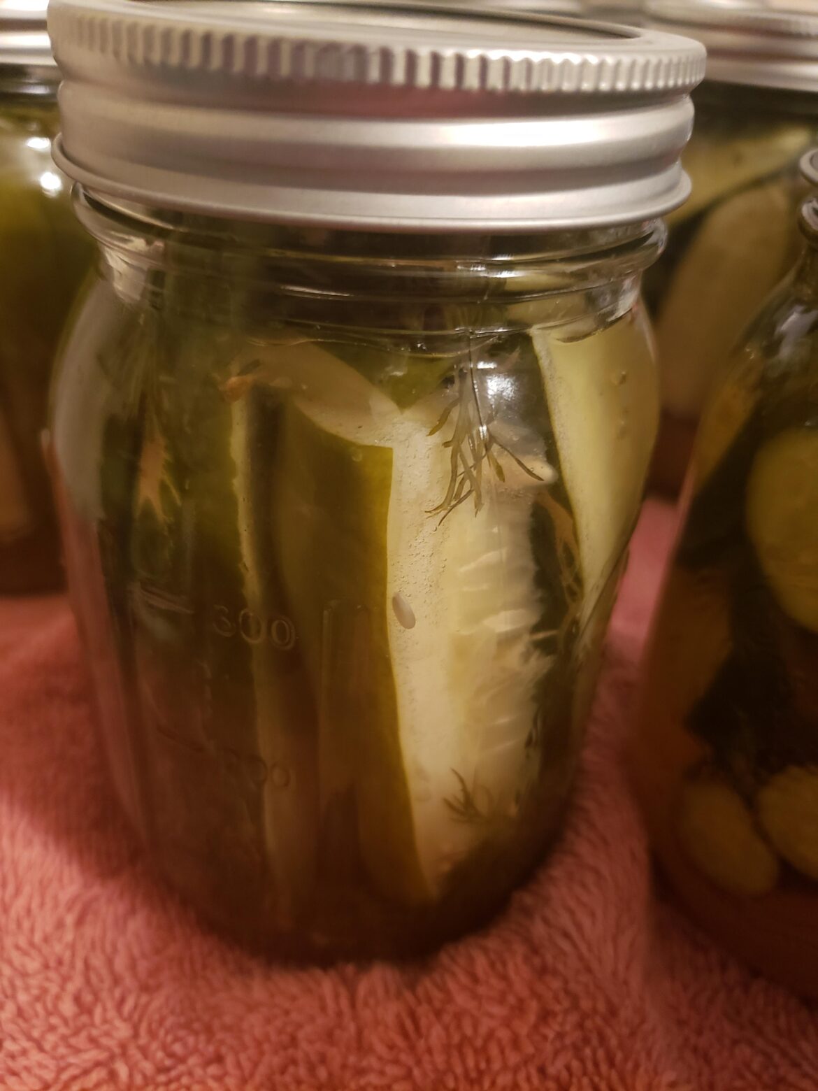 My pickles seem overly vinegary!!! Help!!! My pickles seem overly vinegary!!! Help!!!