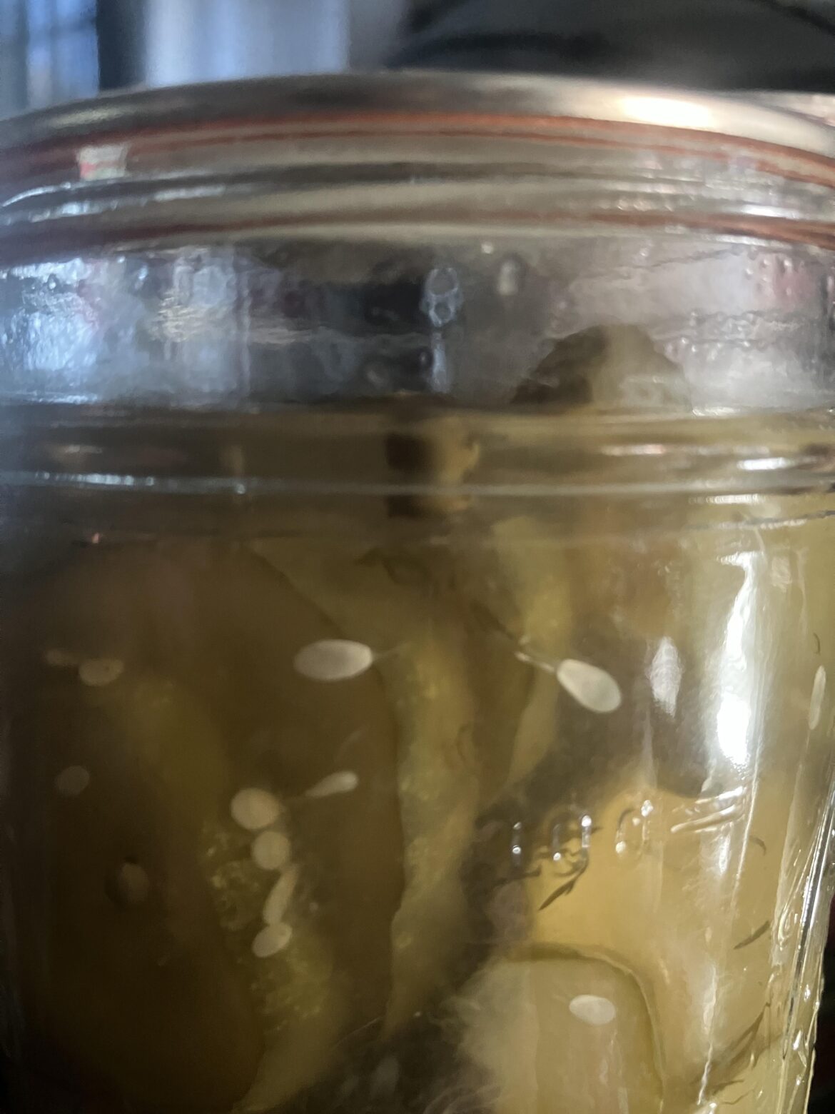 First time doing long term canning. Is it safe for some pieces to be slight bit out of vinegar?