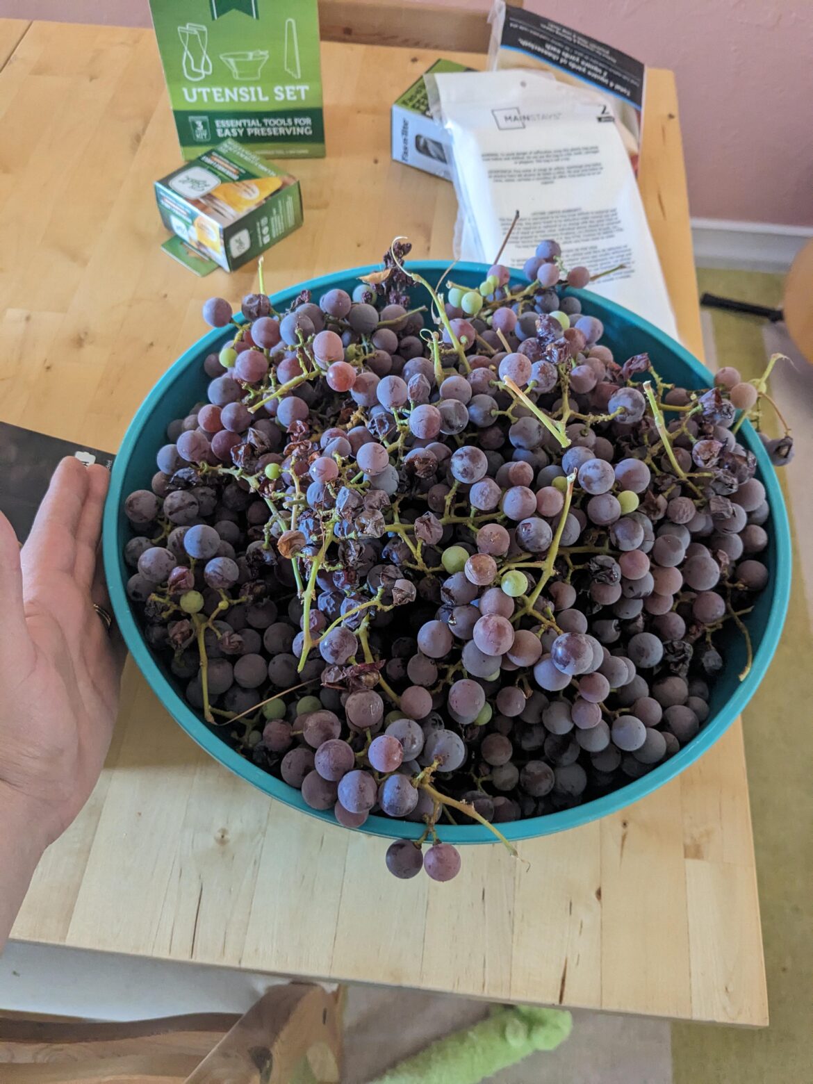 Best way to store cut crabapples/grapes overnight? Best way to store cut crabapples/grapes overnight?