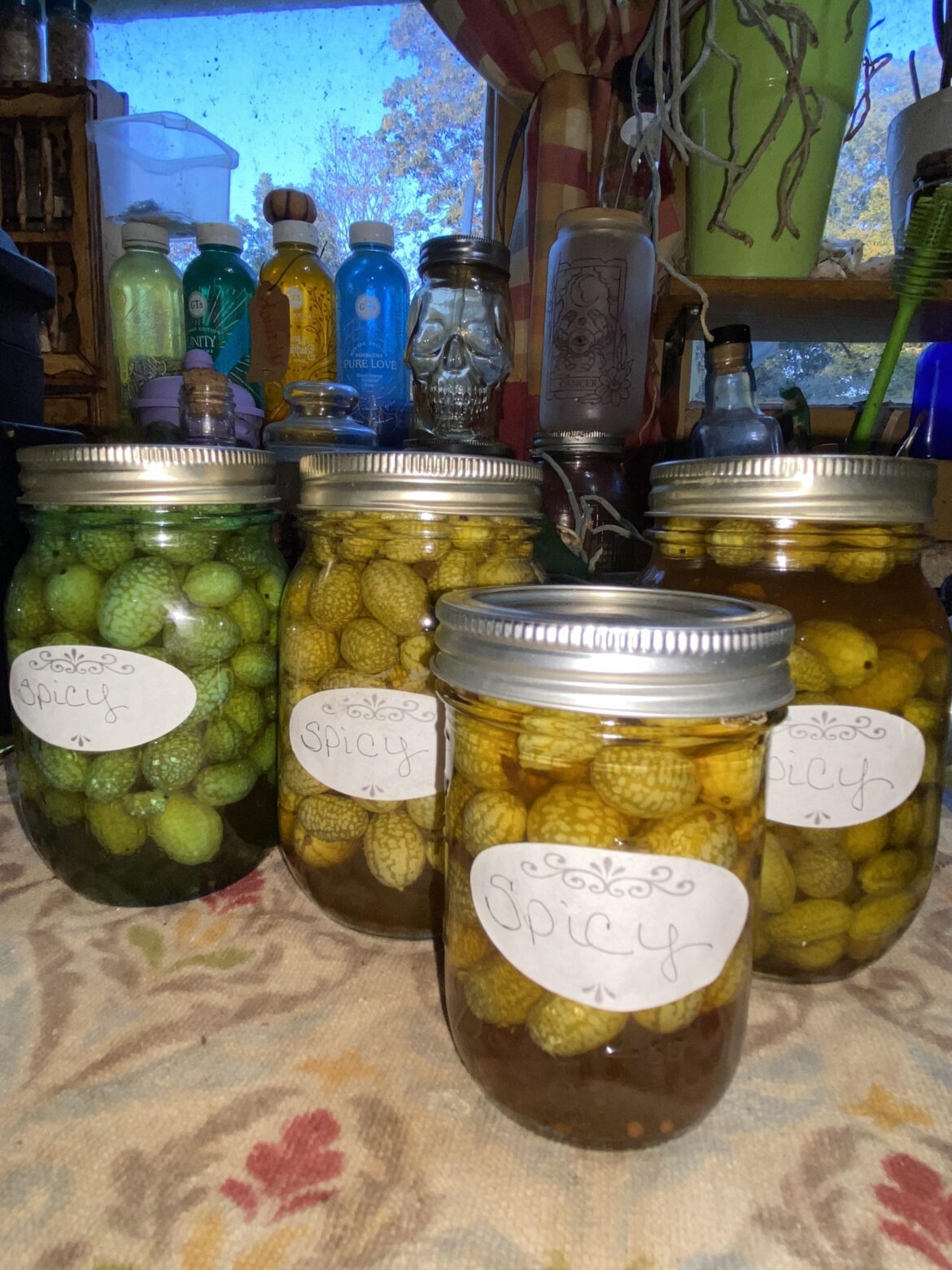I made spicy pickled cucamelons.