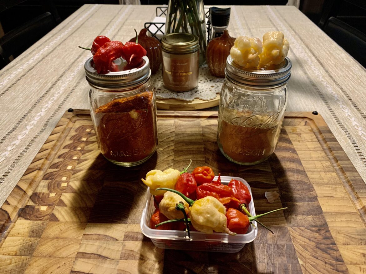 Carolina reaper and peach reaper pepper powder. I dehydrated over a hundred of them and ground them into a coarse powder to use sparingly in spicy dishes.