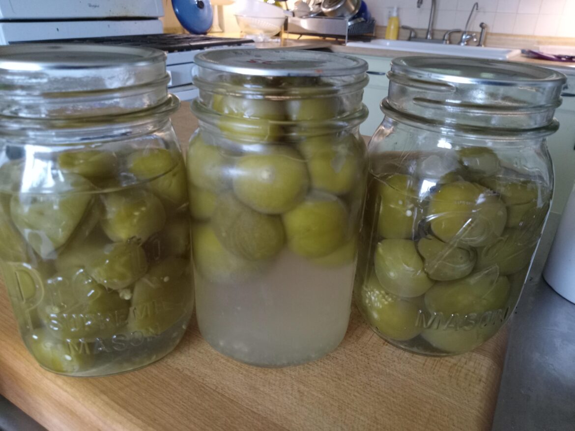 Why is one of these not like the others? They all sealed. Tomatillos.