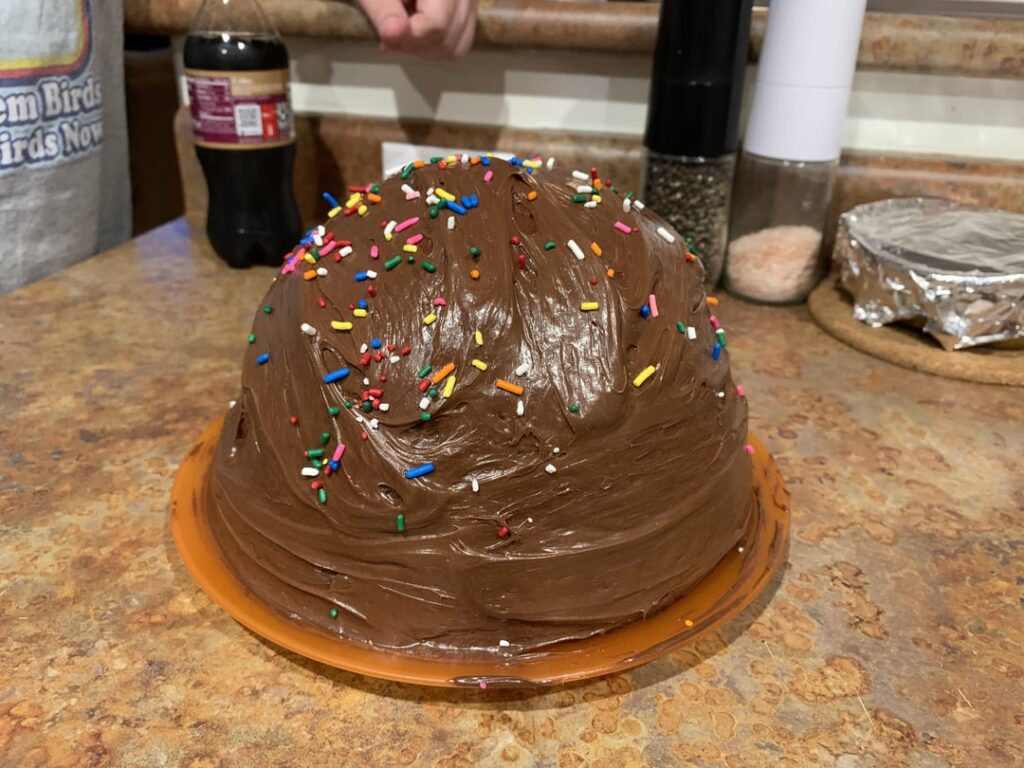 I thrifted a Betty Crocker bake and fill pan set and gave it a try. Chocolate cake with Black Raspberry Cookies and cream ice cream in the middle. 10/10