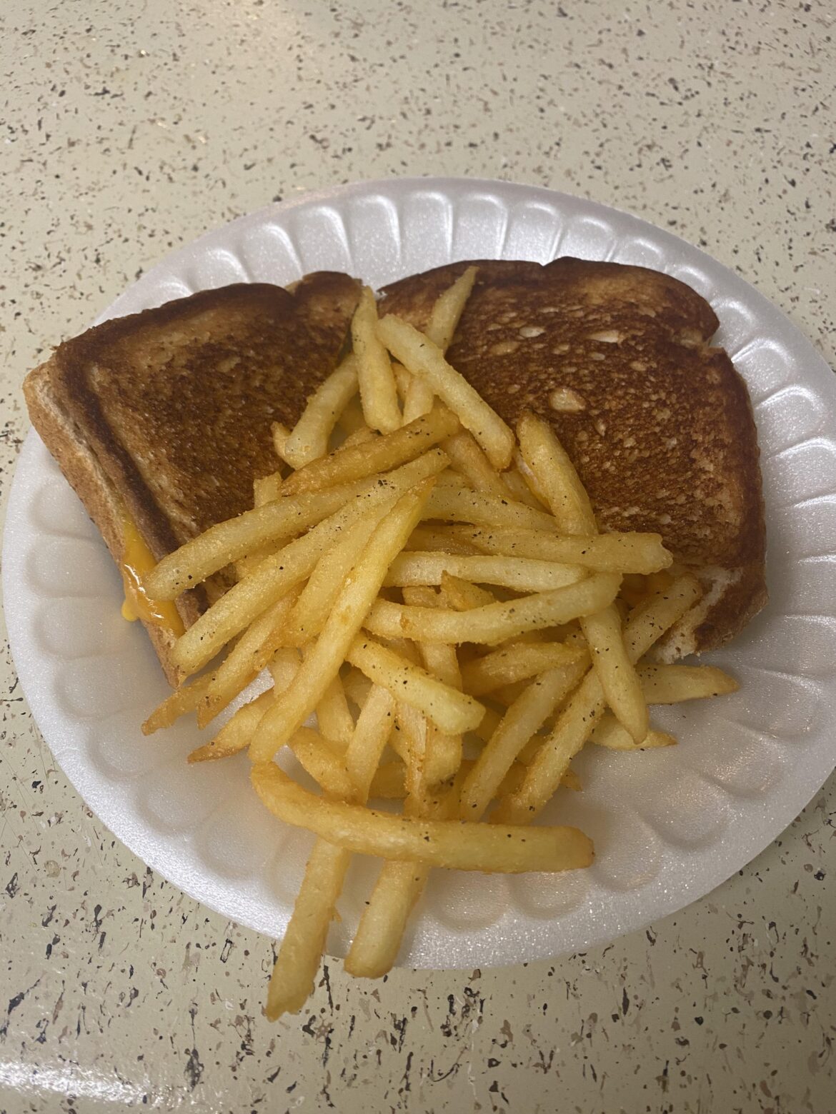 Grilled cheese Ft. homemade McDonalds style fries