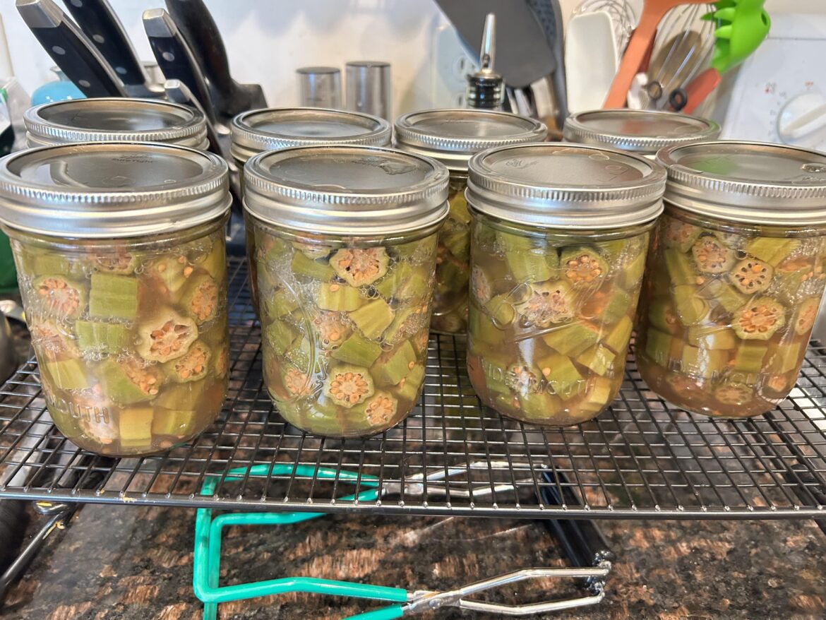 My wife doesn’t really like okra but it grows well here so 🤷🏼‍♂️
