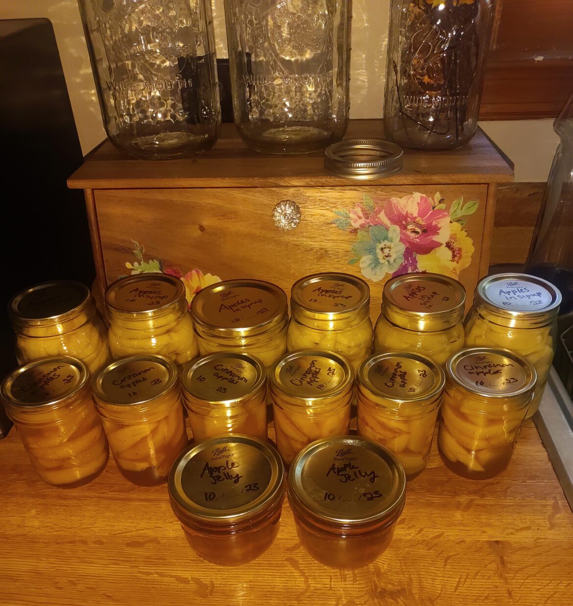 Apples were on sale this week Apples were on sale this week