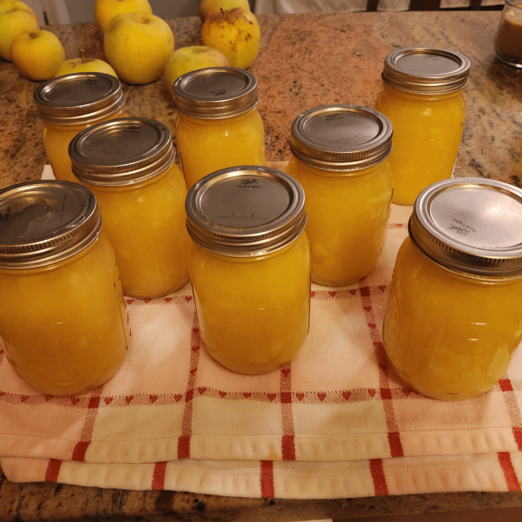 First applesauce canned