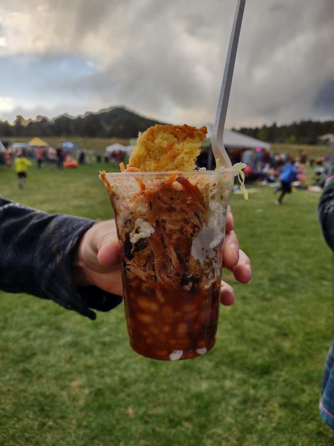 Pulled Pork BBQ Dinner