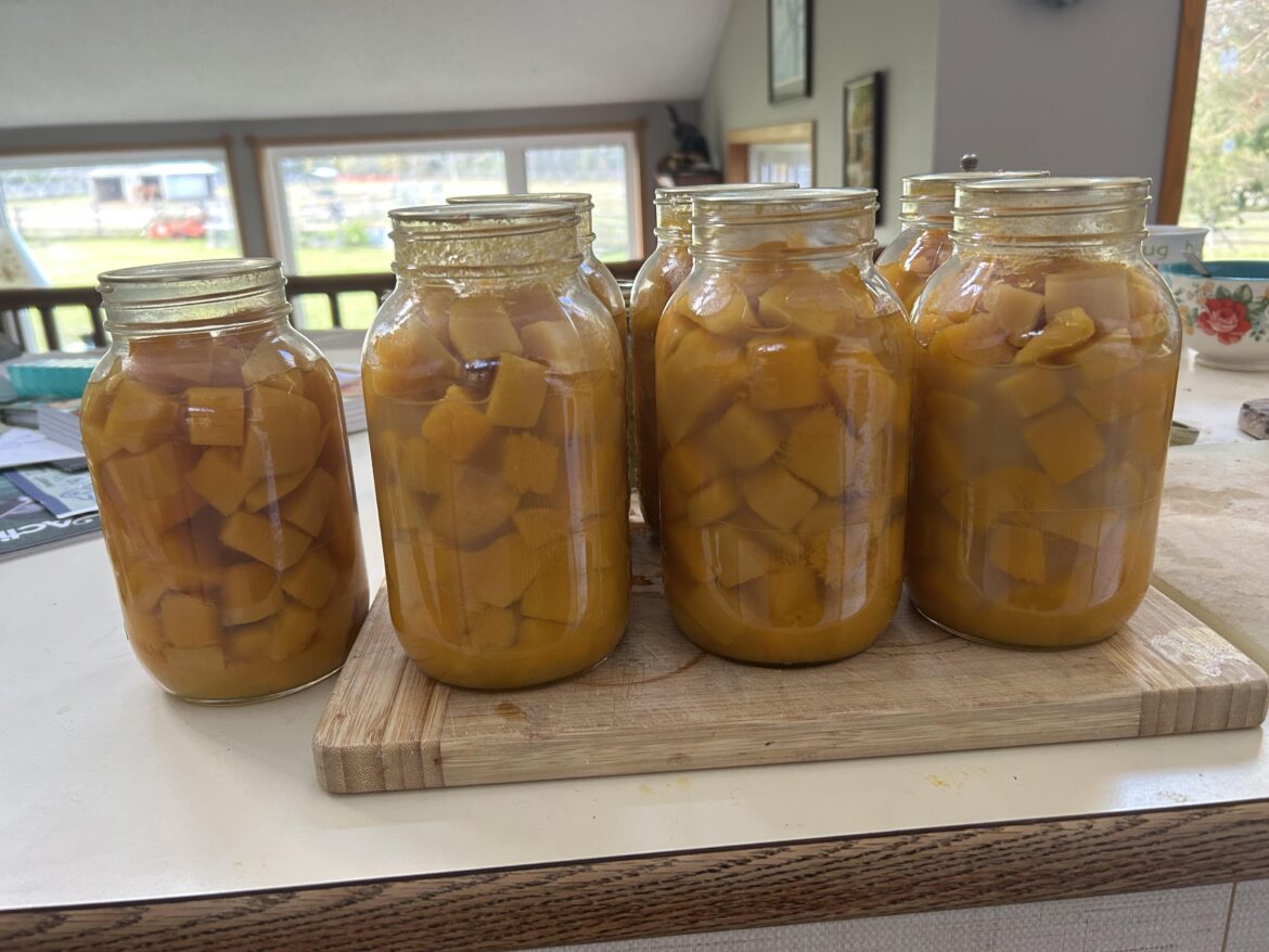 Siphoning & cloudy water – help Siphoning & cloudy water - help