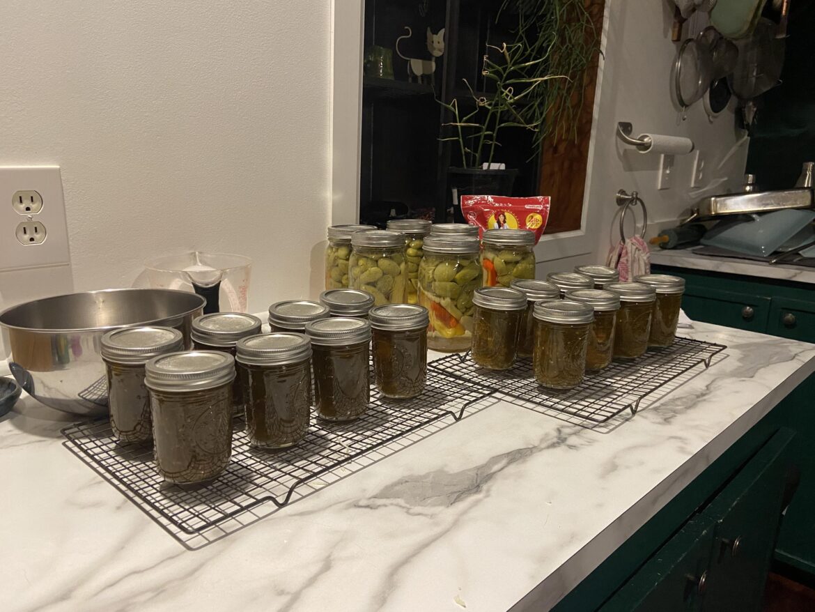 Halfway through the 40 lbs of green tomatoes.