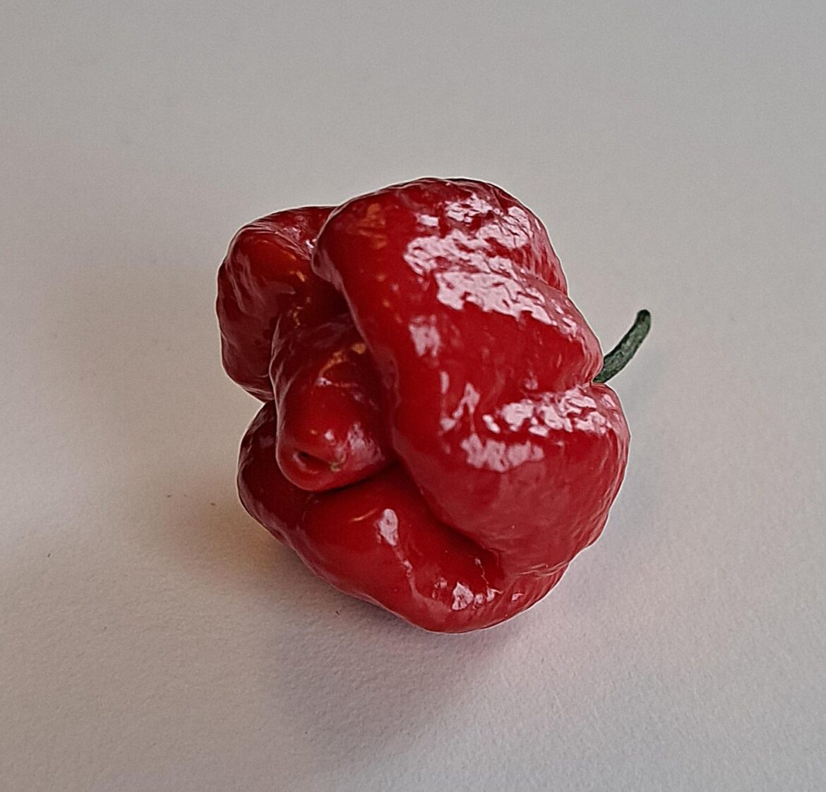 Can you help me identify this pepper?