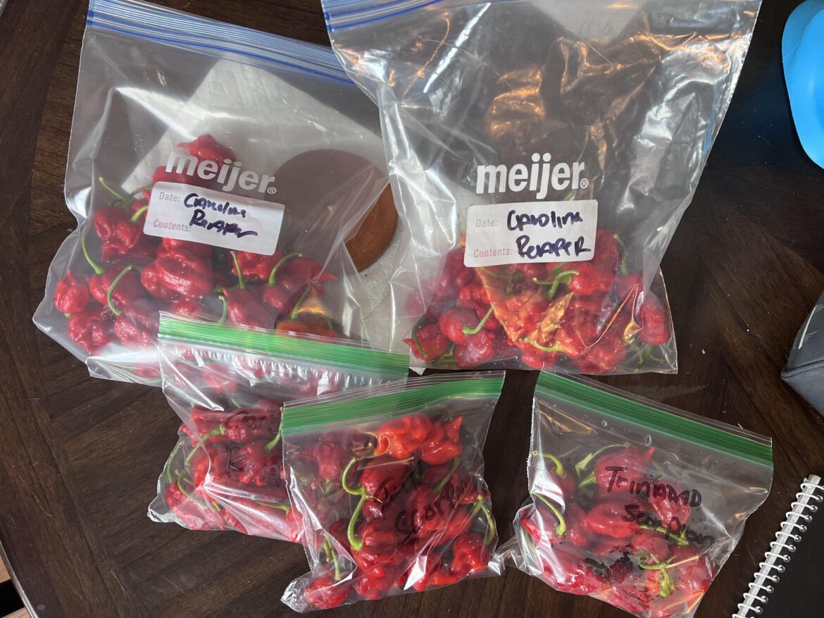 Great strain this year.