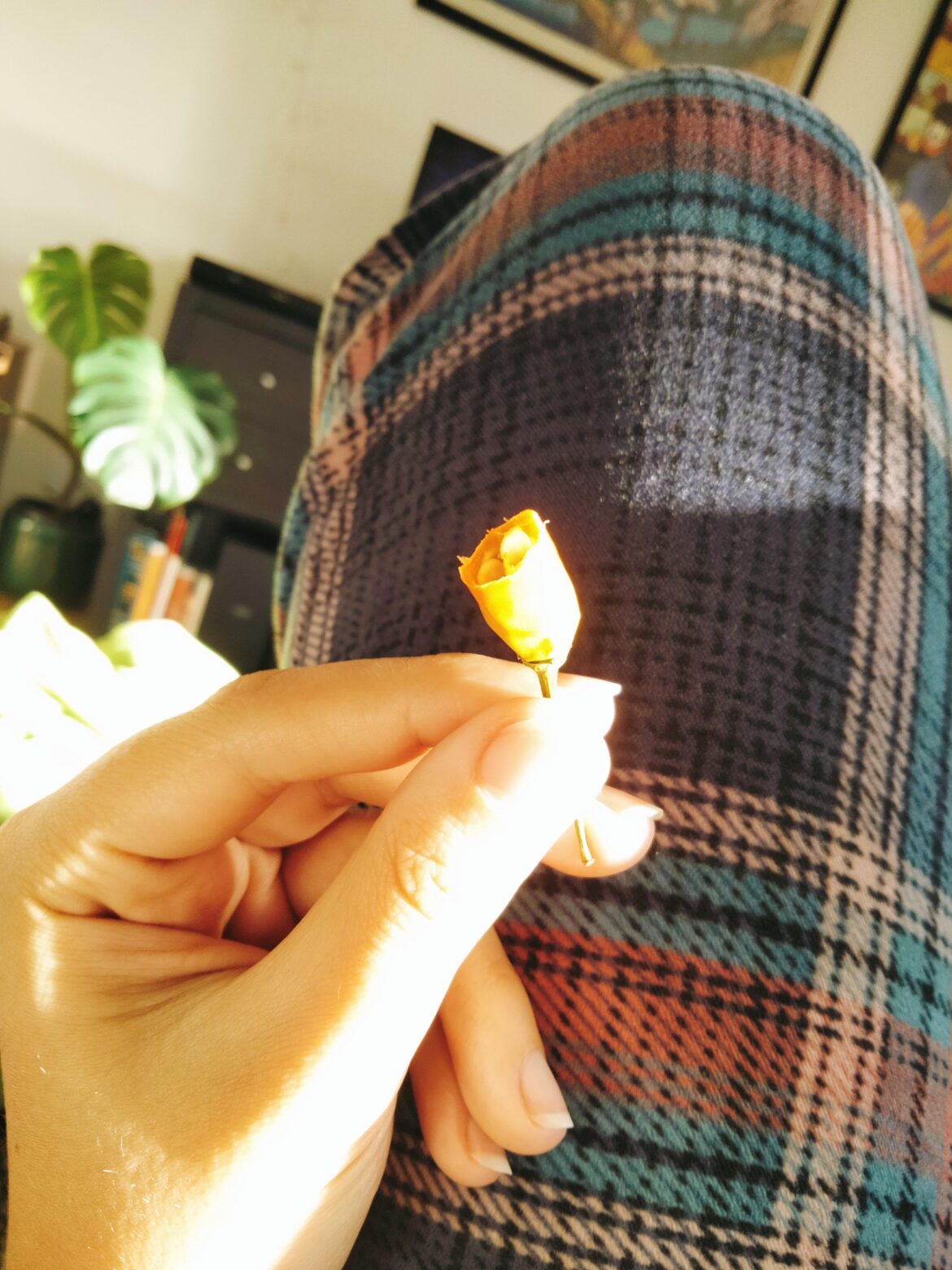 Very hungover today, this is my remedy. Anyone else do this to kick hangover symptoms?