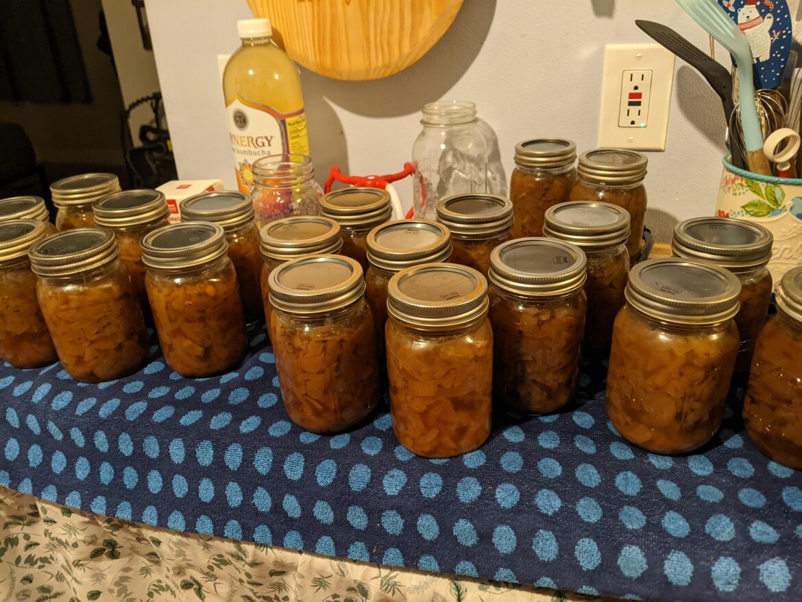 Uses for canned french onion soup Uses for canned french onion soup