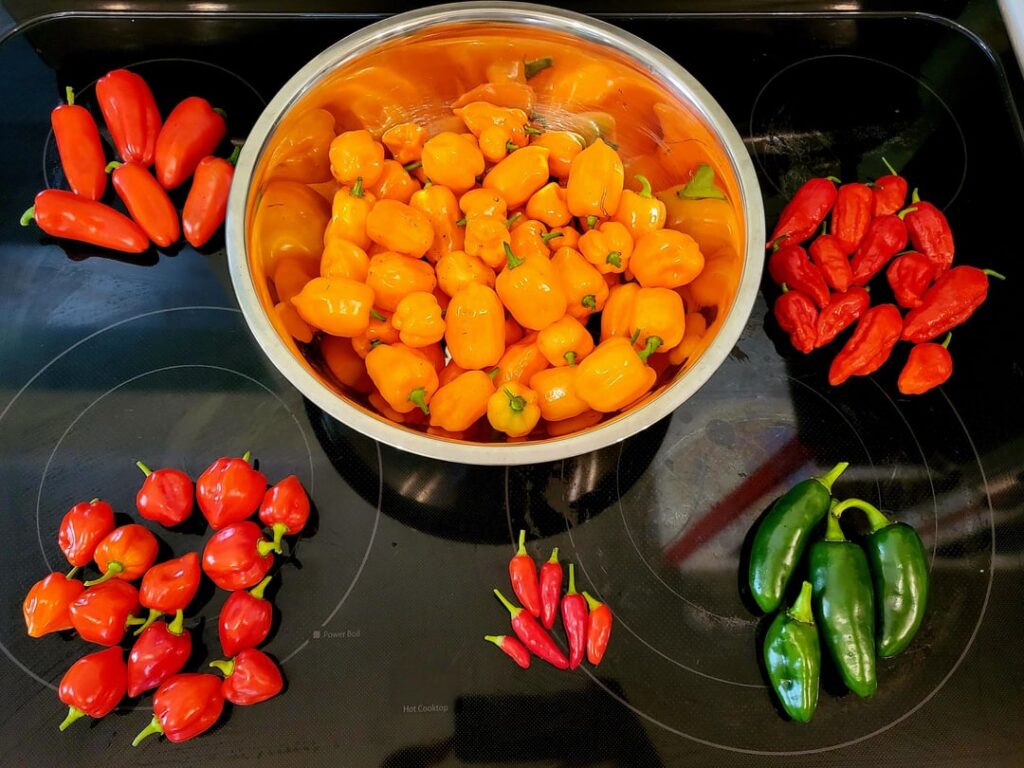 it's gonna be a spicy chili season 🔥