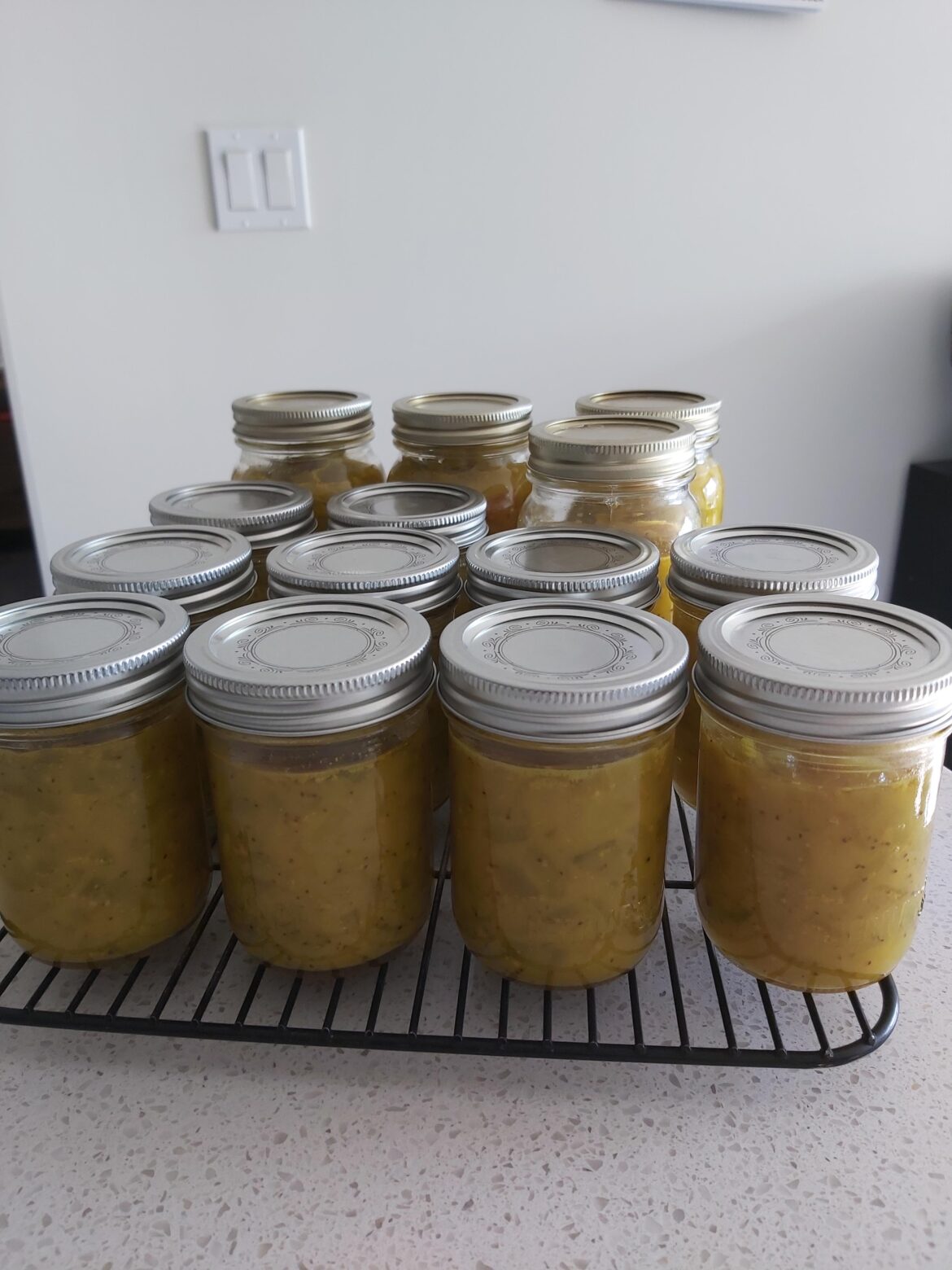 Frist batch of Lady Ashburn Pickles
