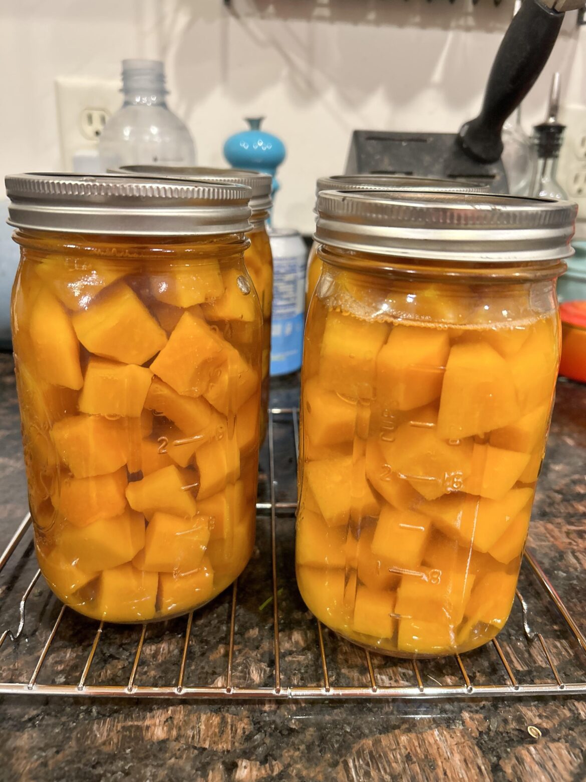 Butternut squash!! Definitely a highlight of my 2023 garden