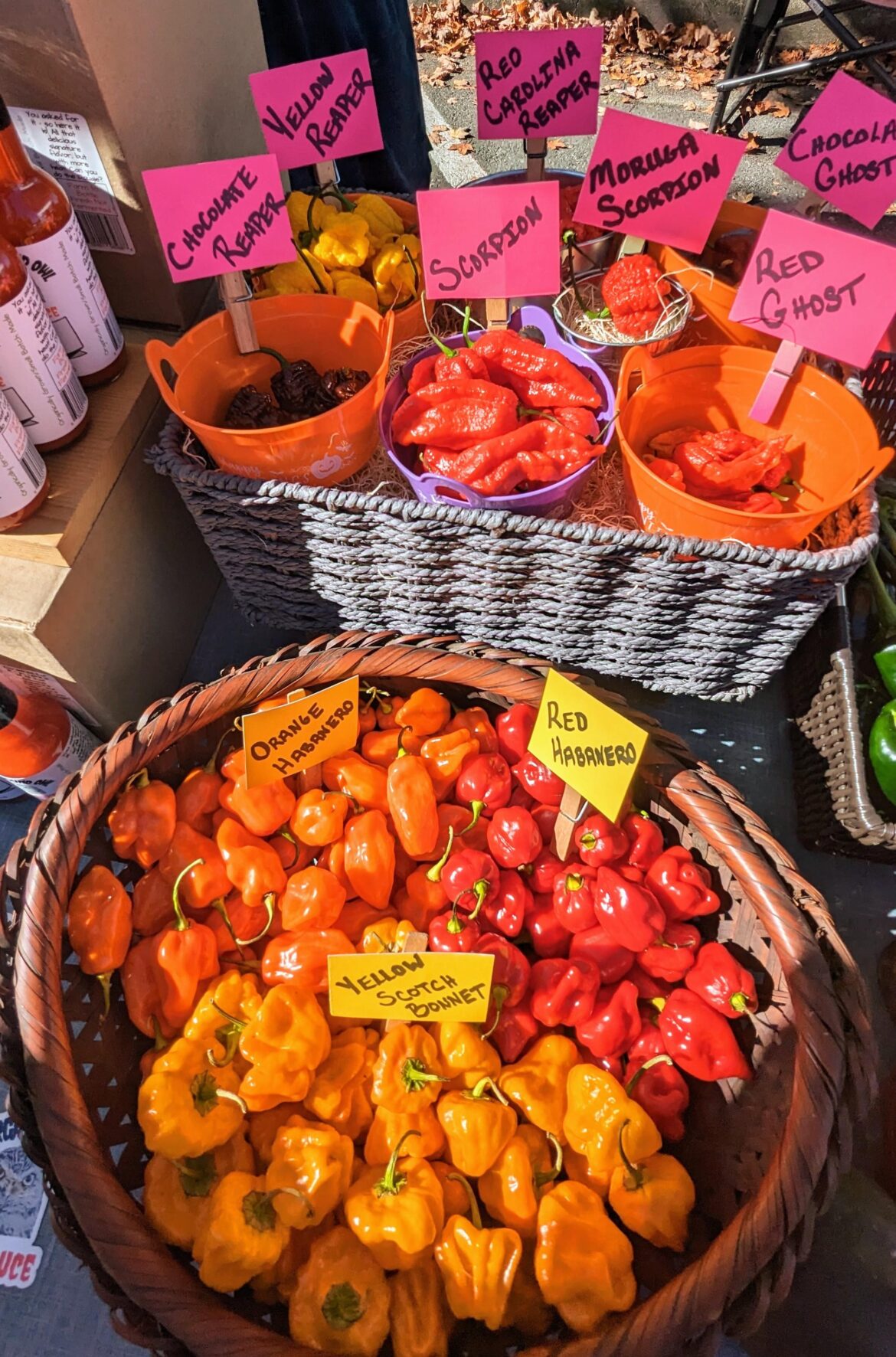 Chili Pepper Vendor