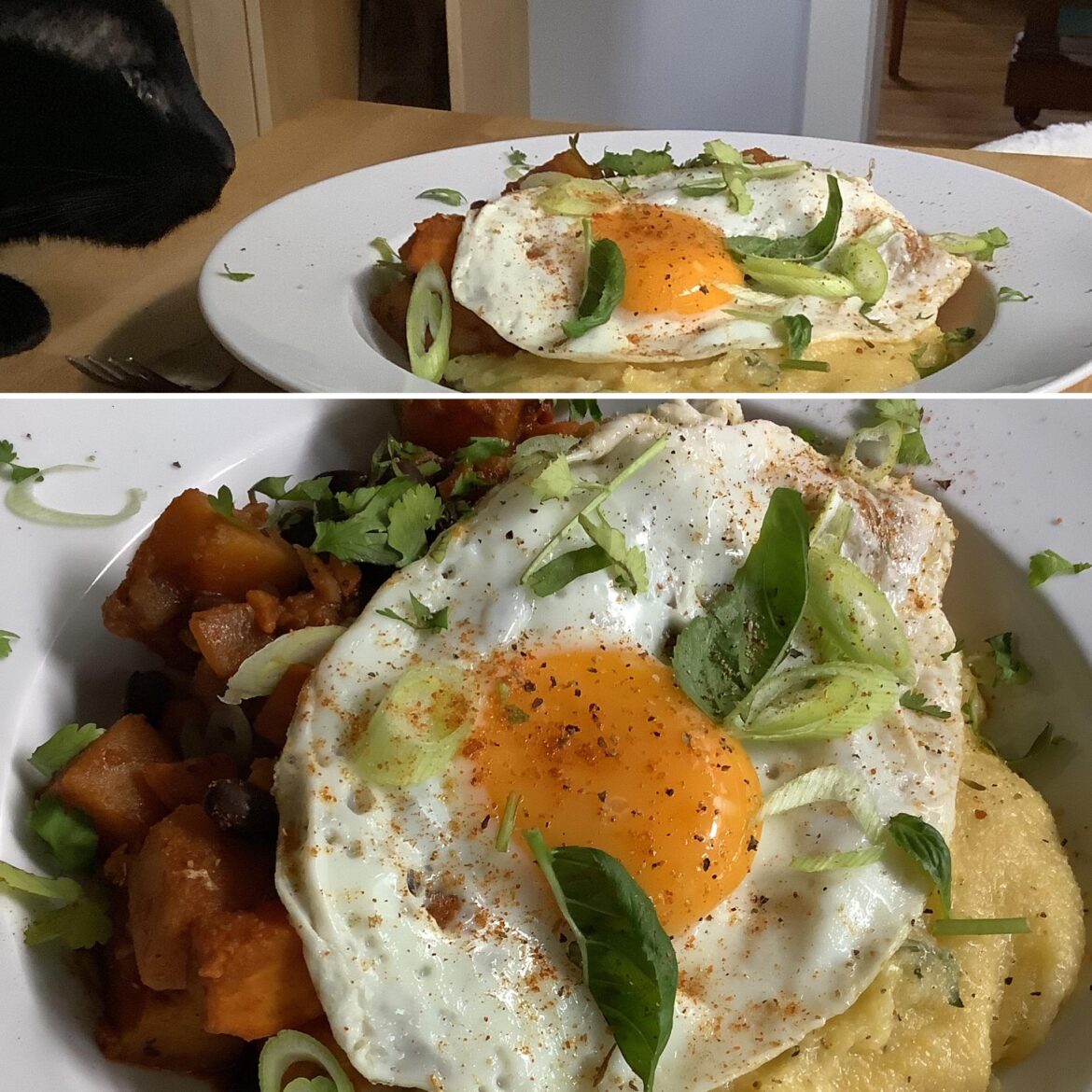 Blackbean/yam/butternut chili, herb polenta, sunny egg. Side of Betty.