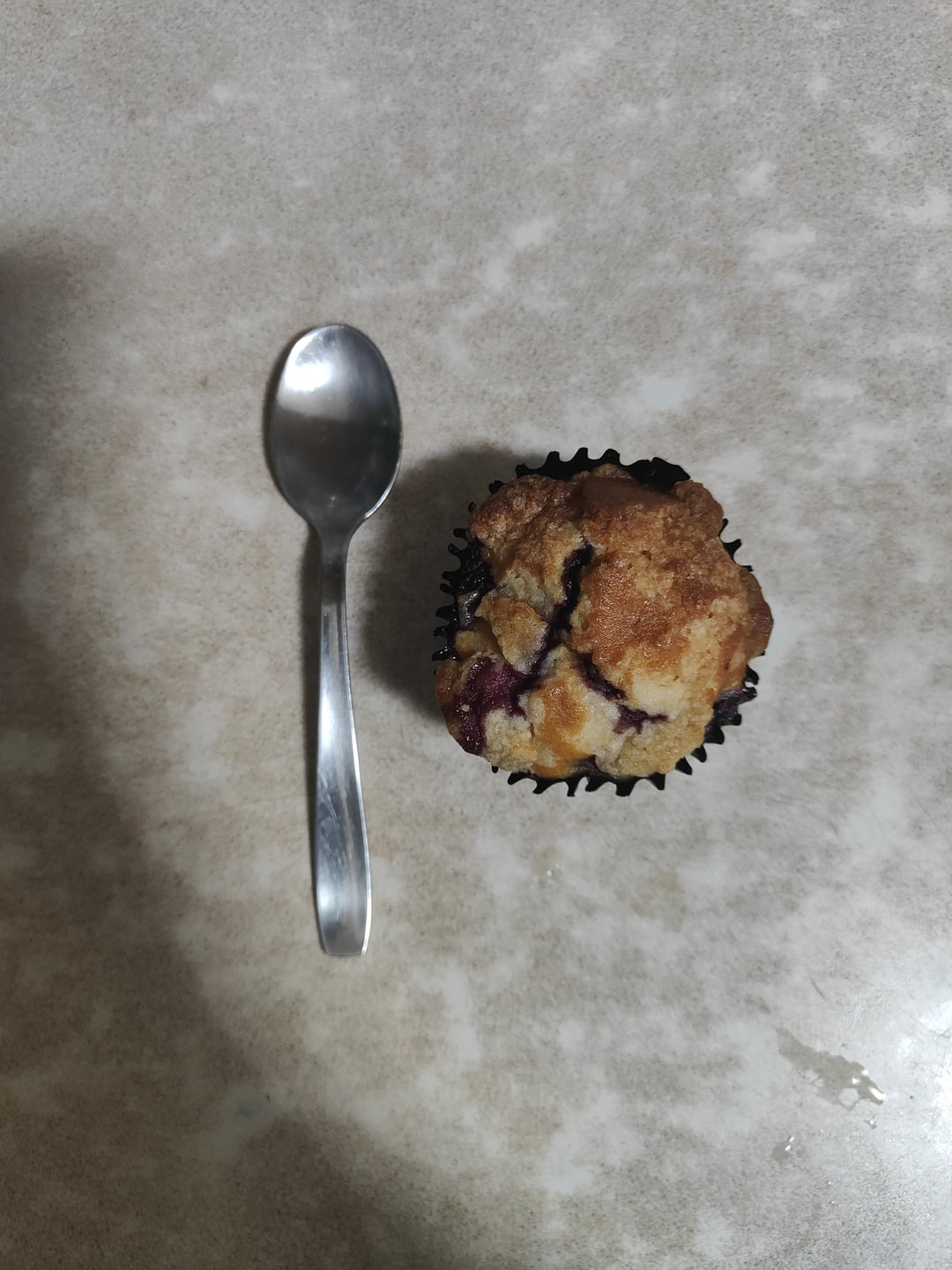 blueberry muffin Dining and Cooking