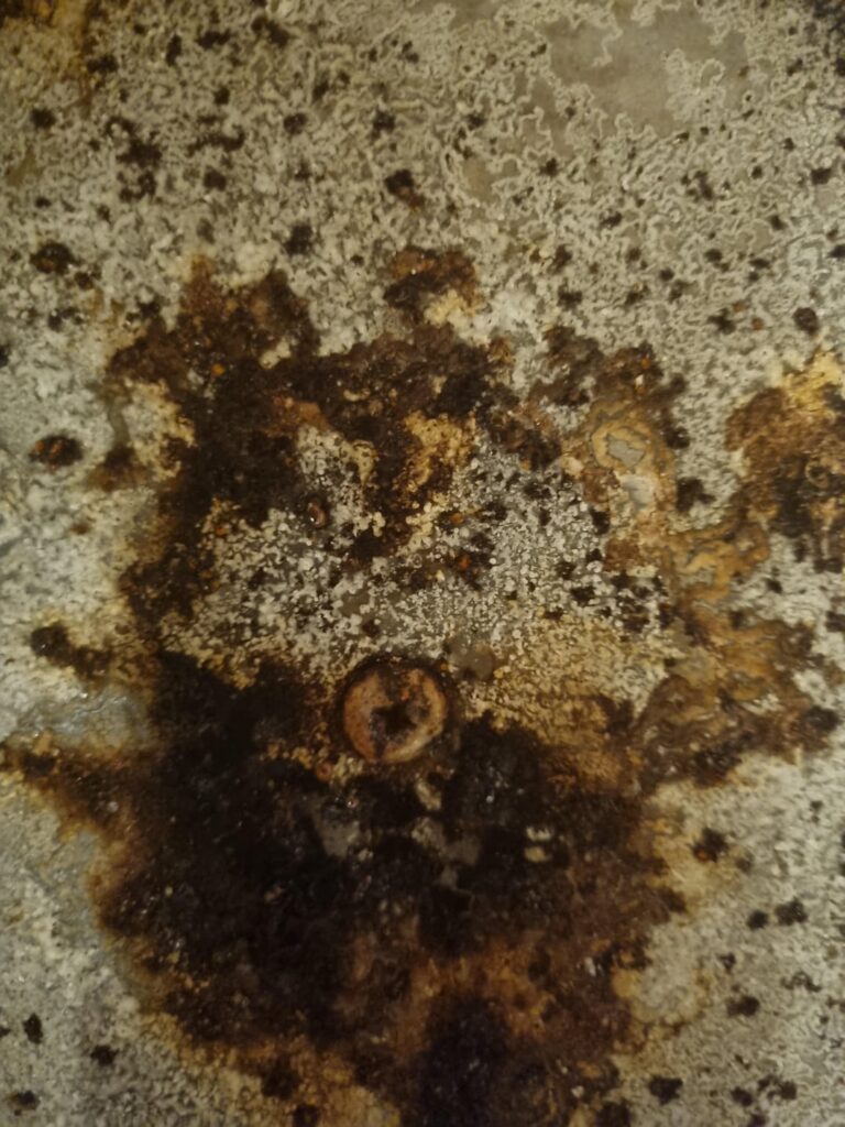 Is this a health hazard or should I try clean it up? I am so disgusted :(