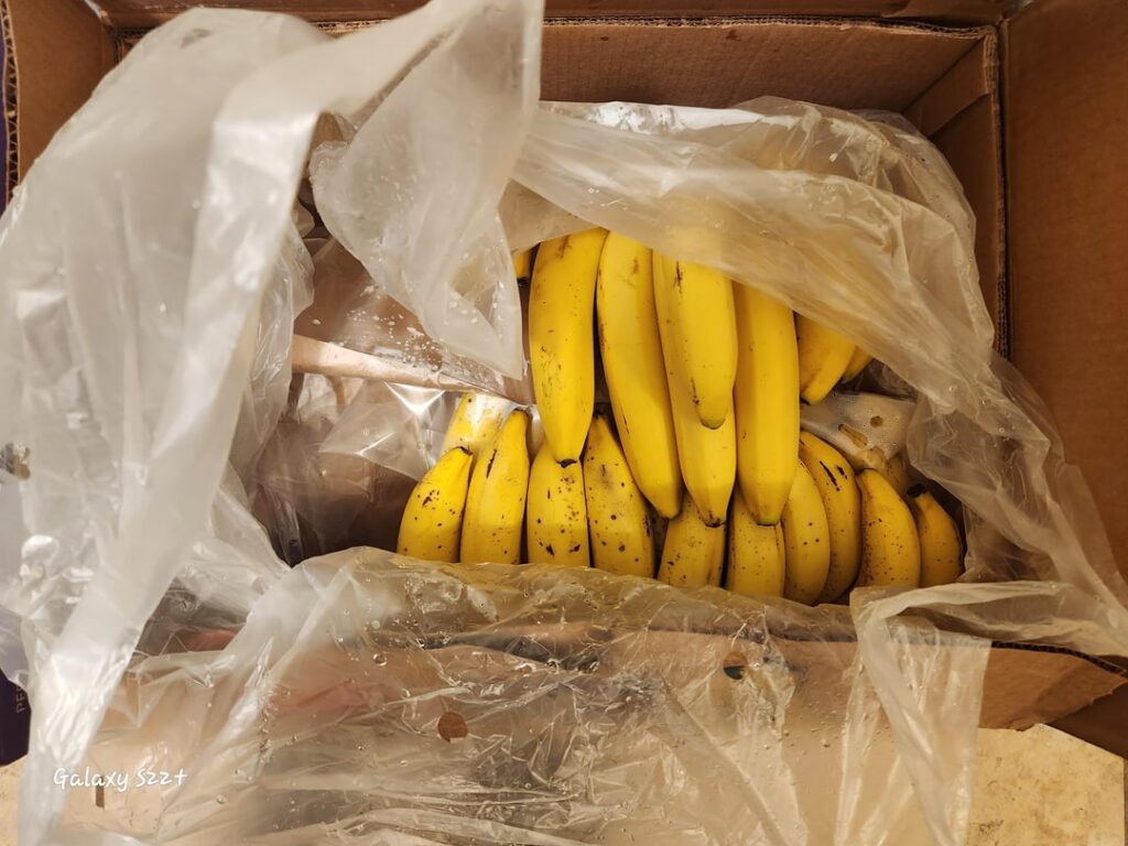 Please help! I got a box of bananas for free today. What can I do with them all? (I've already made 2 loaves of banana bread.)