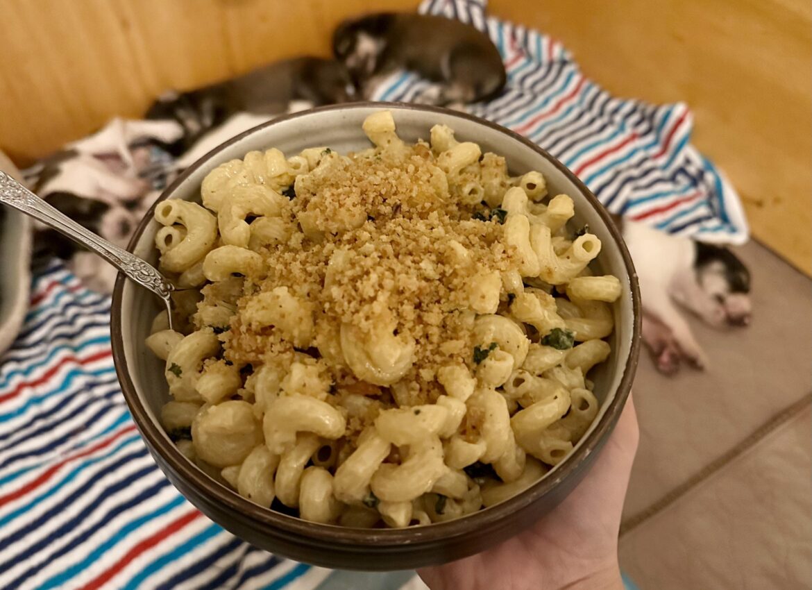 Creamy Butternut Squash & Kale Cavatappi (7/10)