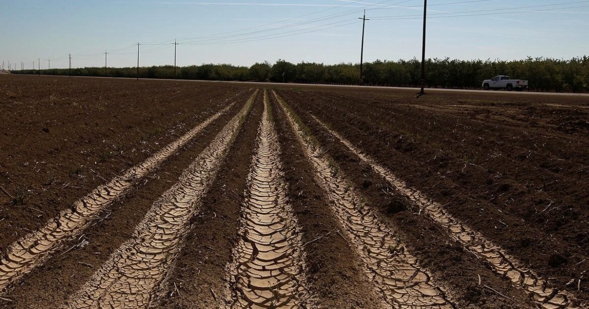 Feds looking to pay farmers to leave fields unplanted