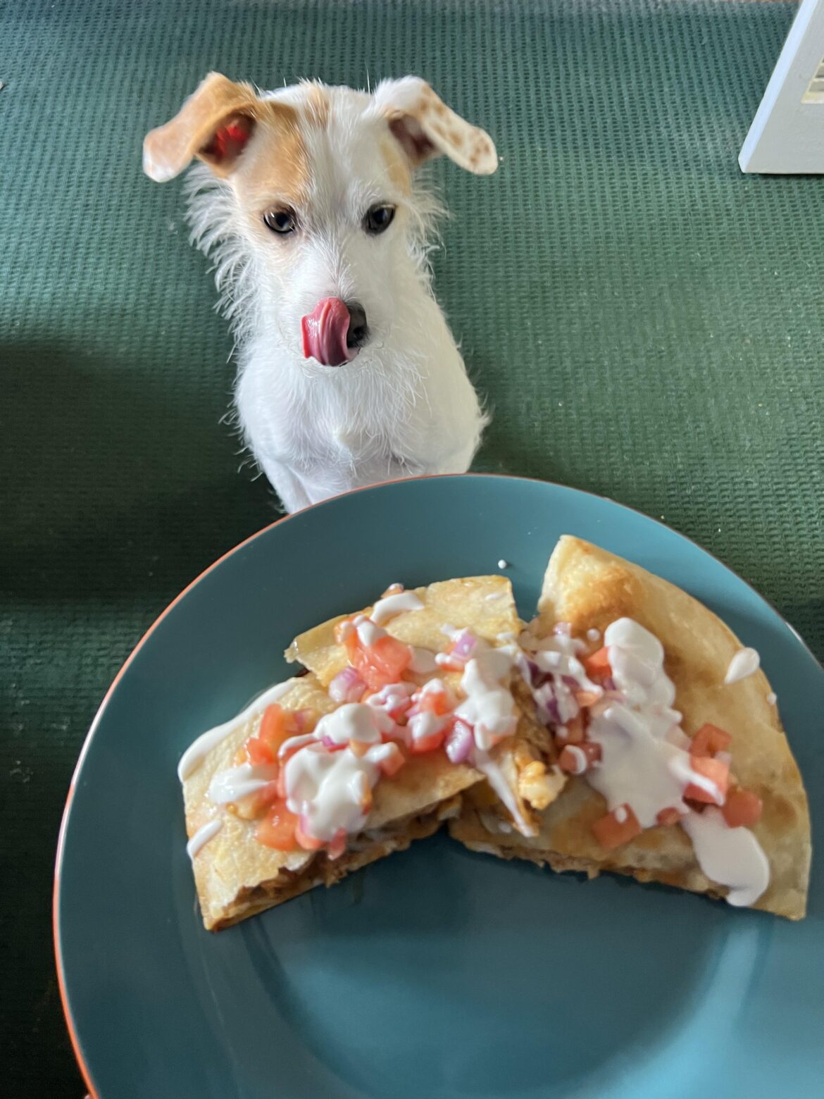 one-pan baja chicken quesdillas