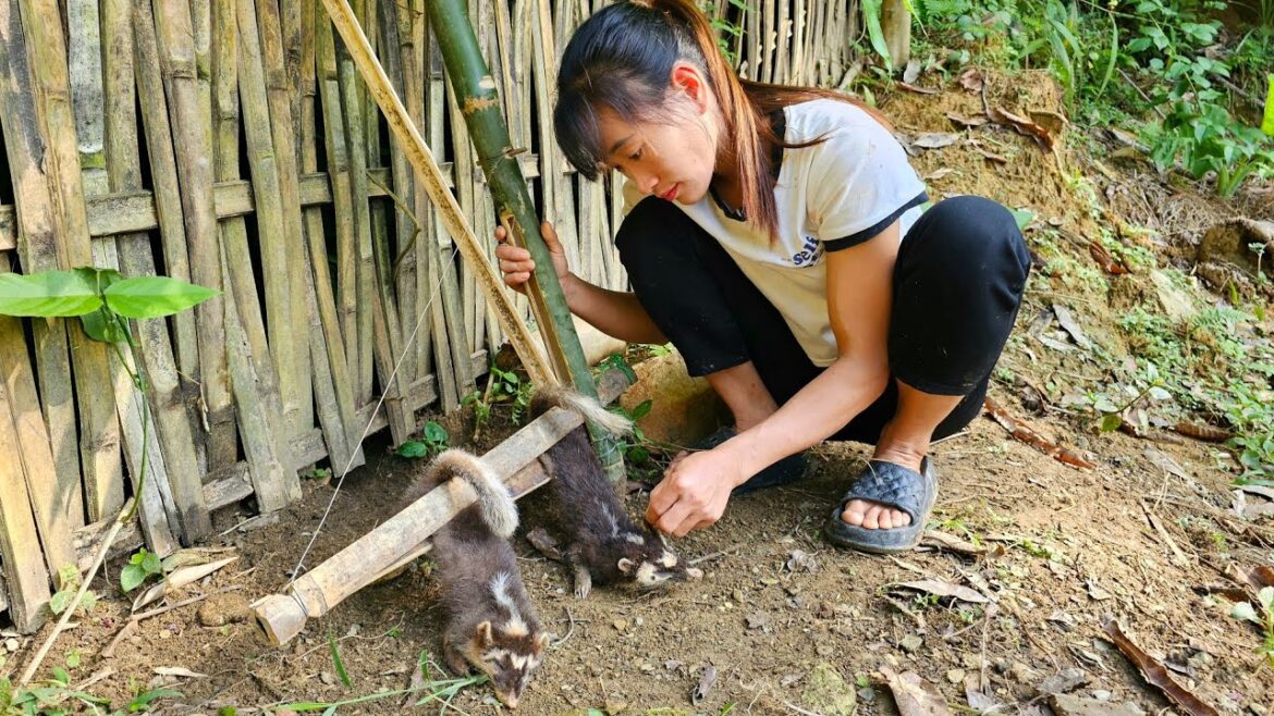 The vegetable garden was destroyed by a wild animal – Successfully set traps for 2 wild animals The vegetable garden was destroyed by a wild animal - Successfully set traps for 2 wild animals