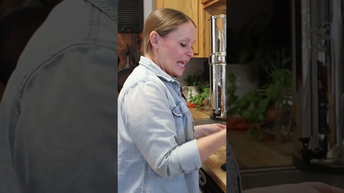 The BEST Soup! | Lemon Chicken Orzo Soup! | #shorts #heartwayfarms #recipe #soup #fyp #yummy #home