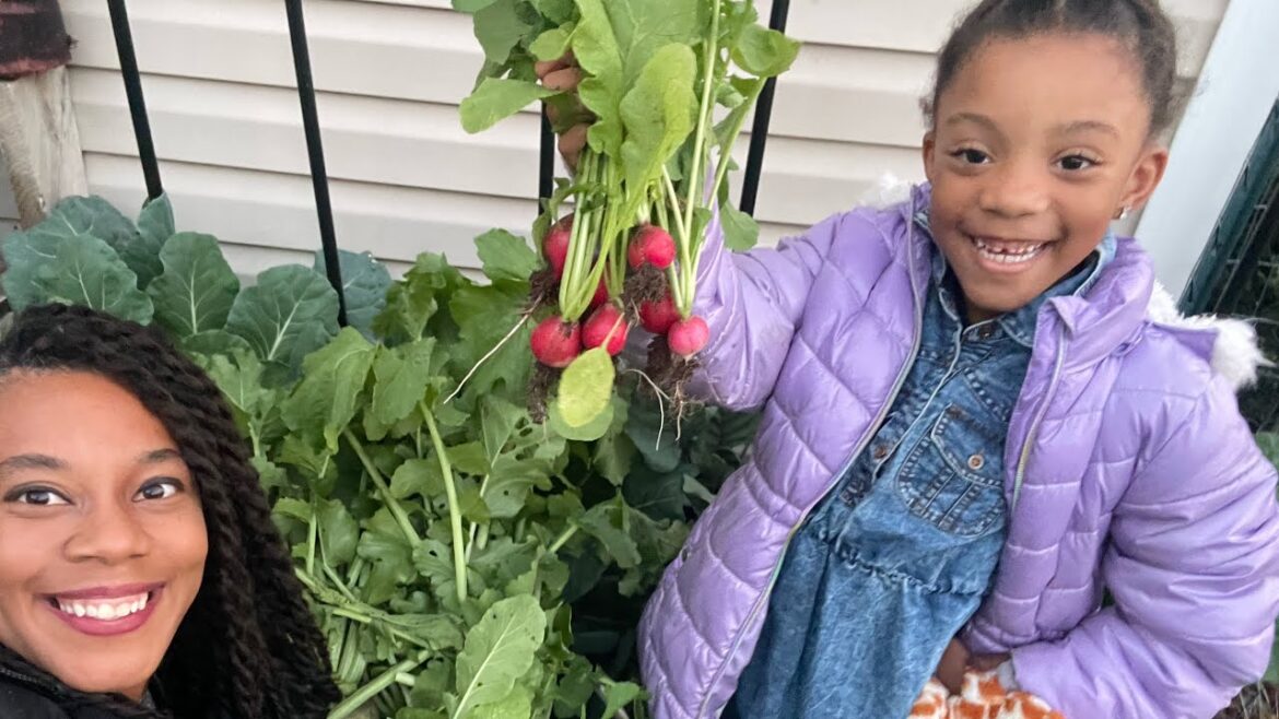 Winter Vegetable Garden Tour  #gardening #vegetables Winter Vegetable Garden Tour  #gardening #vegetables