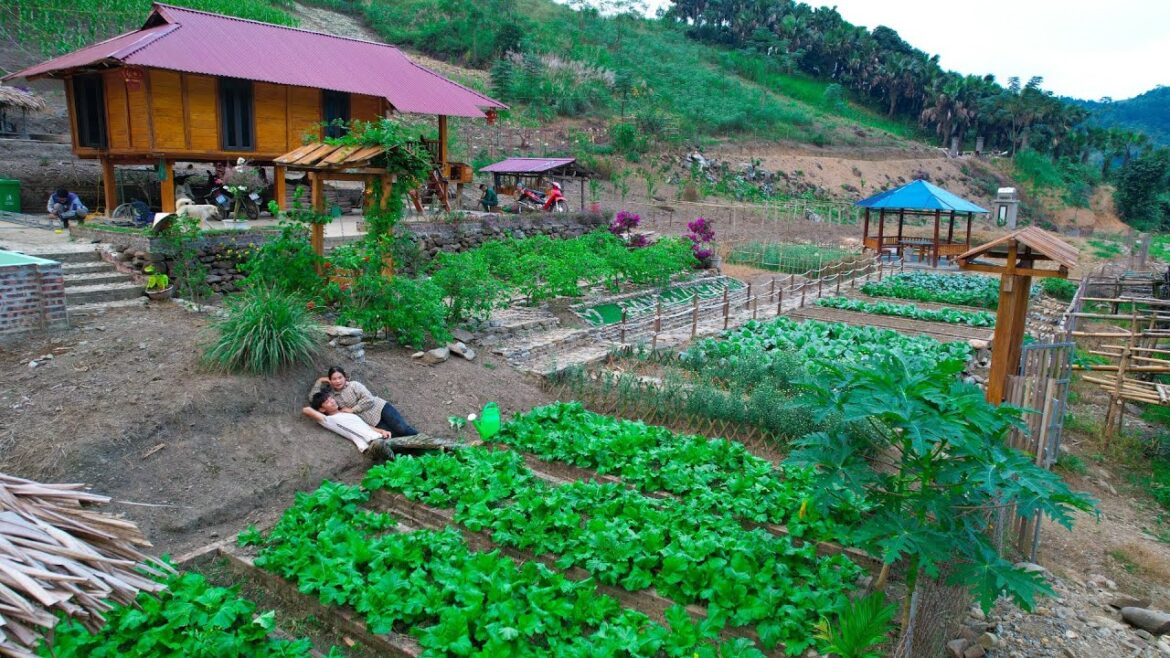 Sang vy builds a farm together, plants and harvests, vegetable garden, chickens – Sang vy farm Sang vy builds a farm together, plants and harvests, vegetable garden, chickens - Sang vy farm
